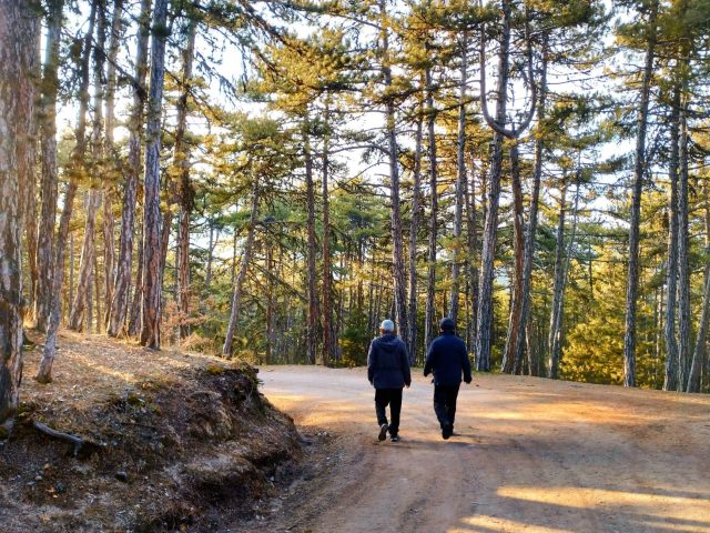 Comment la marche peut-elle améliorer votre santé ?