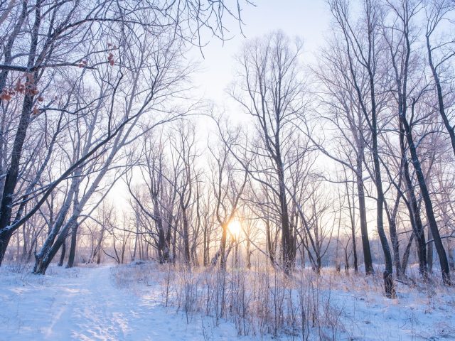 Ces erreurs hivernales qui aggravent vos allergies sans que vous le sachiez