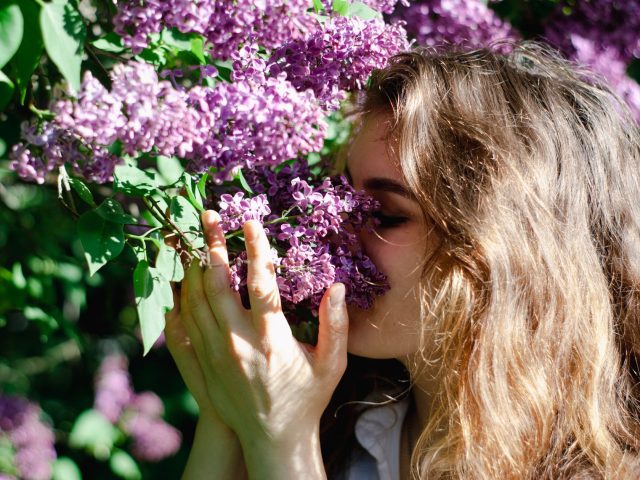 Allergies printanières : stratégies pour les éviter efficacement